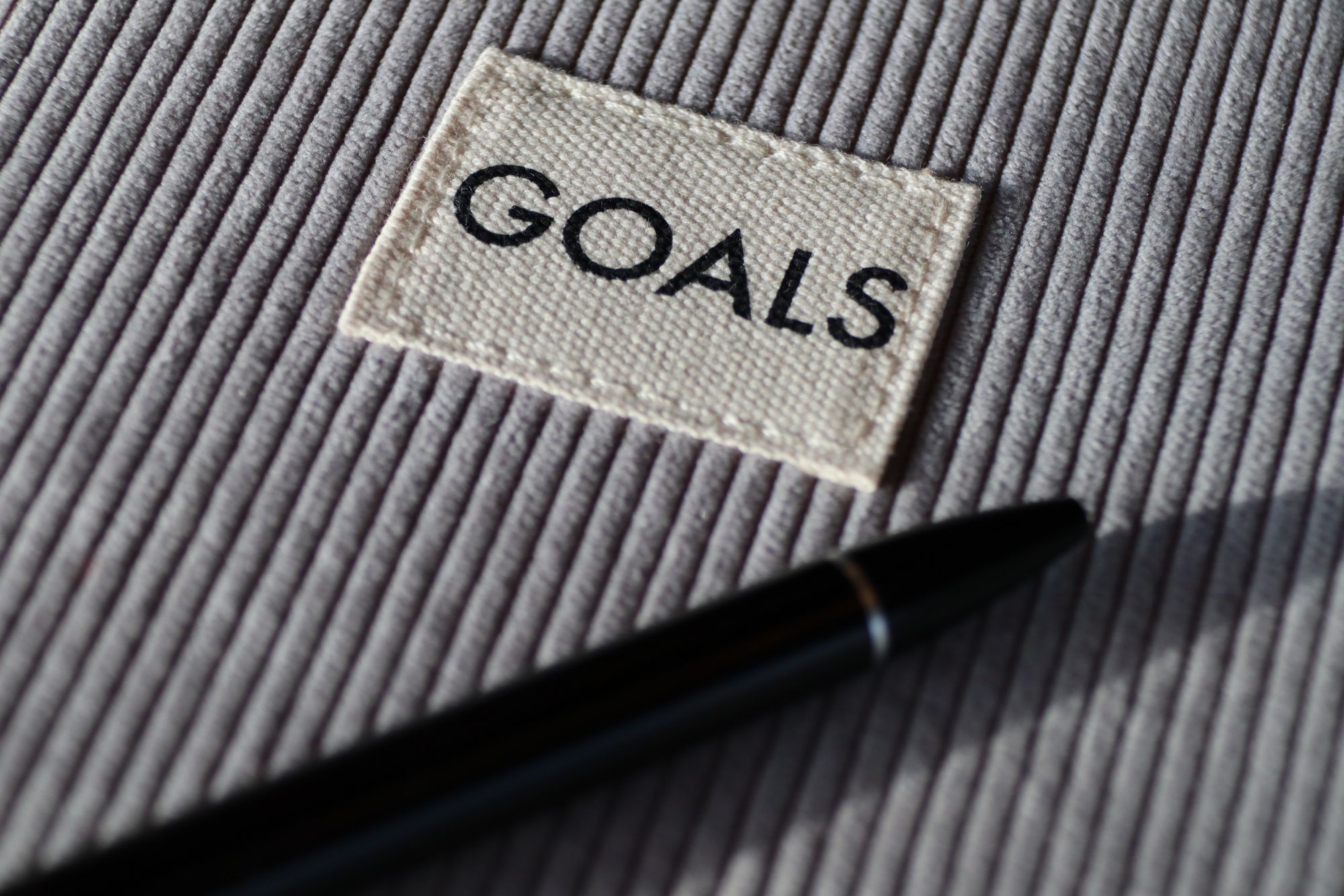 Image of a pen and an engraved lettering of "GOALS"