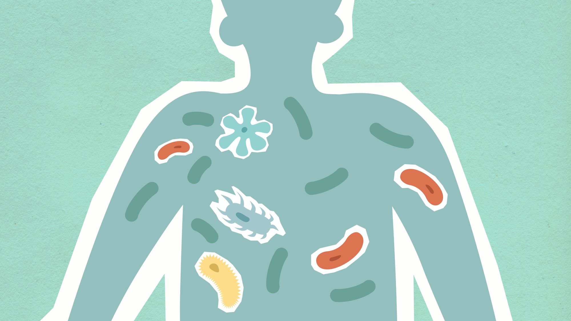 illustration of person with bacilli in body